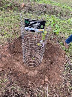 En la Ribera del Marco