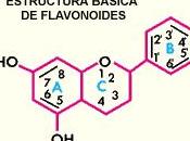 Flavonoides Efecto Antimicrobiano
