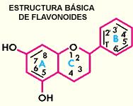 Flavonoides con Efecto Antimicrobiano