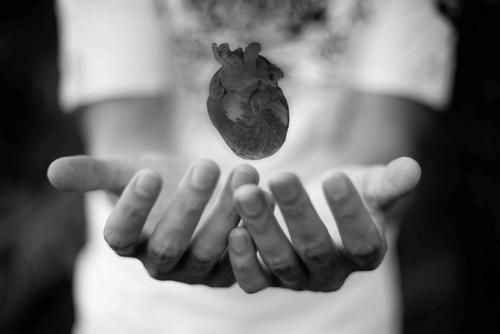 Reflexión visual #0991