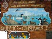 premeditación... ortografía (29)