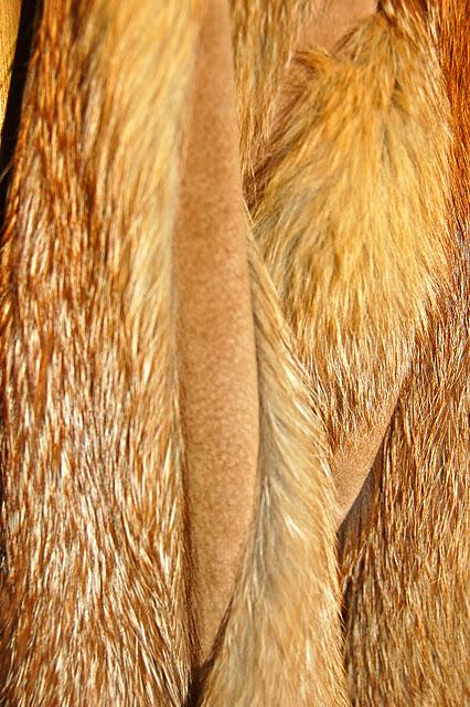 LA JOYA DE TODAS LAS RELIQUIAS