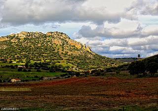 Licitación pública de Minas de Almadén y Arrayanes, S.A.