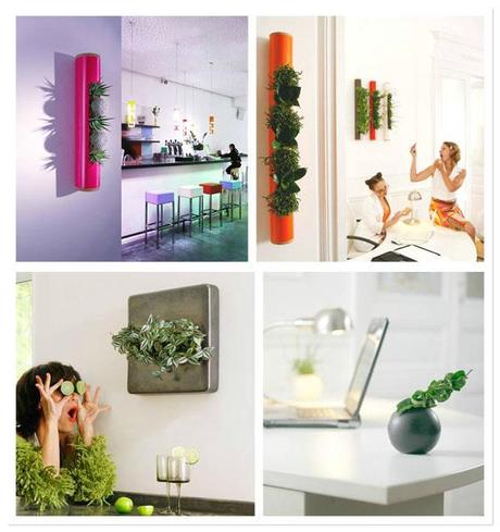 flowerbox ¿MACETAS, ESTAIS SEGUROS?