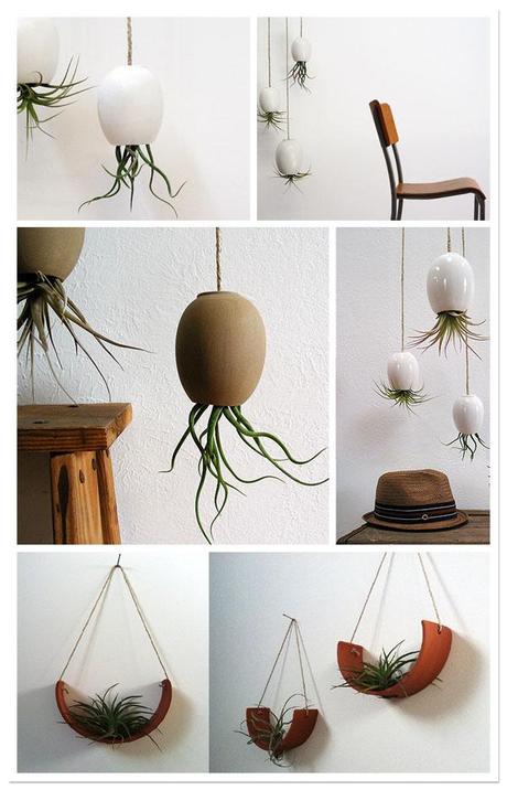 michael_McDowell ¿MACETAS, ESTAIS SEGUROS?