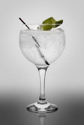 ¿Os apetece un Gin Tonic? ¿Os apetece un Gin Tonic?