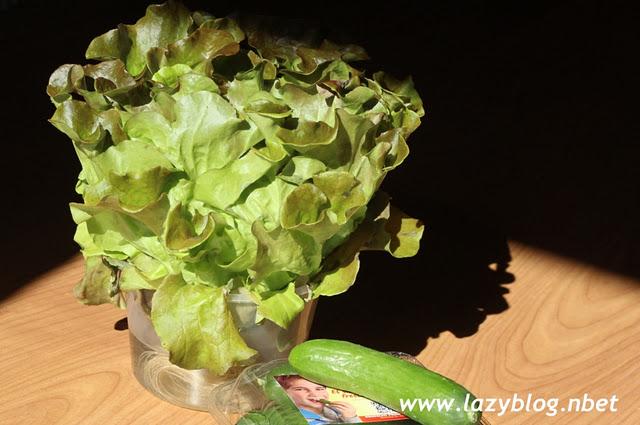 Las lechugas vivas y los pepinos de Berasategui