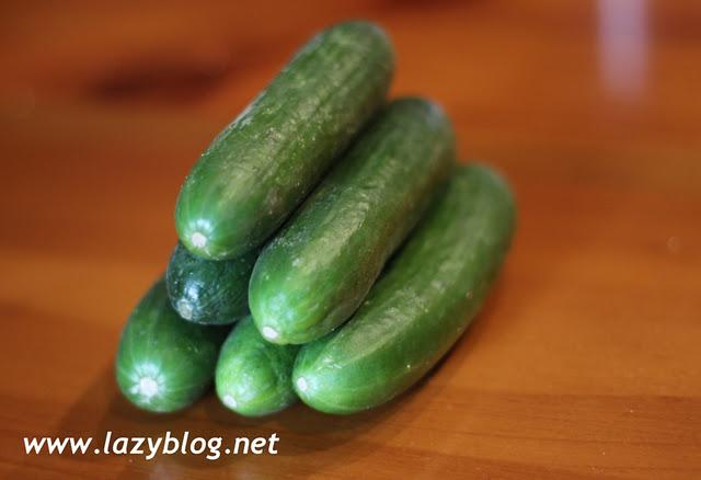 Las lechugas vivas y los pepinos de Berasategui