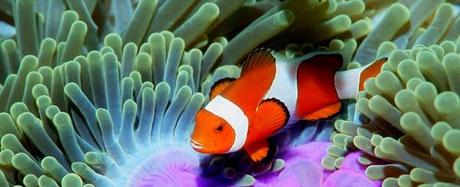 Enlaces de la semana (42/11) Enlaces de la semana (42/11)