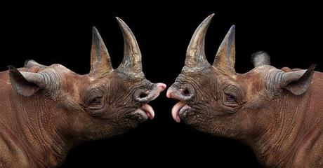 Enlaces de la semana (42/11) Enlaces de la semana (42/11)