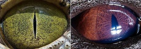 Enlaces de la semana (42/11) Enlaces de la semana (42/11)