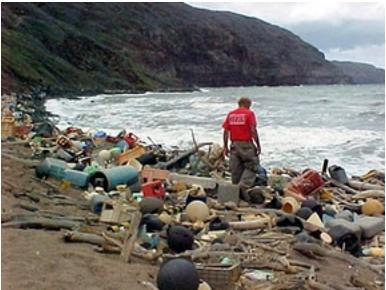 ¿Realmente creyó que los plásticos son reciclados? El basural sintético está oculto en el Pacífico, de Las 25 Noticias Más Censuradas 2010/2011 (N° 12)
