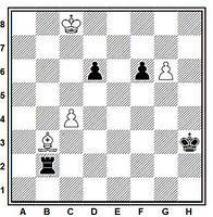 Estudio artístico de ajedrez de A. A. Troitzky, Shakhmaty Zjurnal, 1896