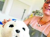 Robots foca Alzhéimer