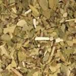 planta medicinal mate