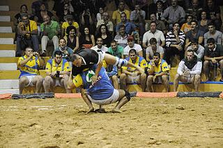 MANINIDRA, ADARGOMA,ALMOGARÉN ,CASTRO MORALES, POLLO BUEN LUGAR, GUANARTEMNE LUCHA CANARIA EN GRAN CANARIA 2011