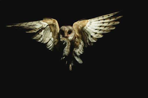 Inventa un cielo para mi