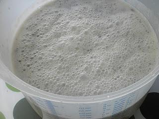 Flan casero de huevo con miel y piñones