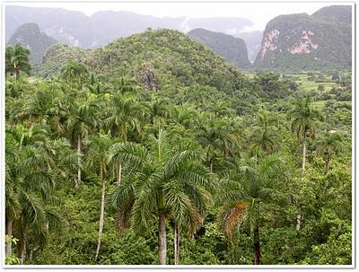 Viñales: El reino de los mogotes [Cuba]