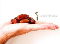 Kefta sobre lombarda al limón y Aguellid relleno