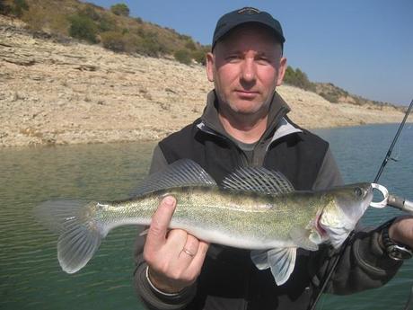 PESCA LUCIOPERCA EN CASPE-MEQUINENZA