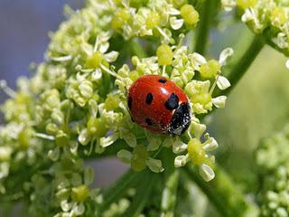 Tres modos de narrar la misma historia