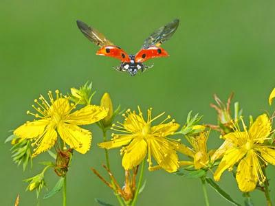 Tres modos de narrar la misma historia