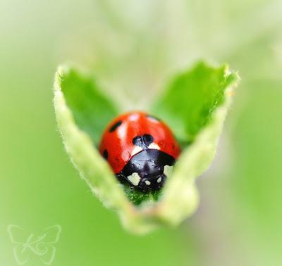 Tres modos de narrar la misma historia
