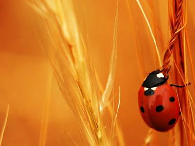 Tres modos de narrar la misma historia