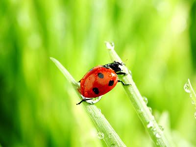 Tres modos de narrar la misma historia