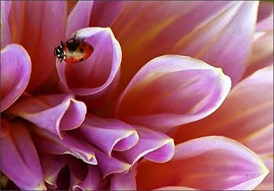 Tres modos de narrar la misma historia