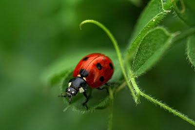 Tres modos de narrar la misma historia