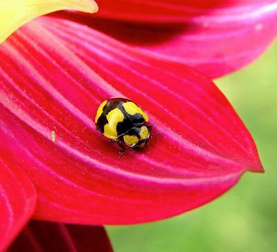 Tres modos de narrar la misma historia