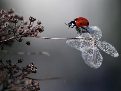 Tres modos de narrar la misma historia