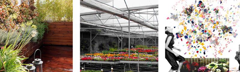 La Habitación Verde seleccionada