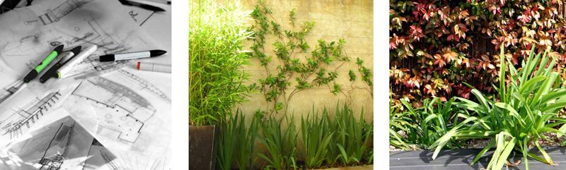 La Habitación Verde seleccionada