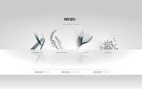 REVIEW DE MIS PRODUCTOS KENZOKI.