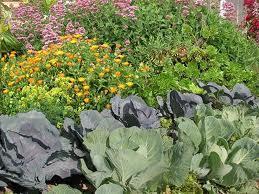 Enciclopedia del jardín y del huerto