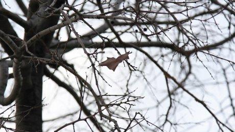 Los cortos de la Seminci: Castilla y León en corto, una sesión de aciertos y fallos