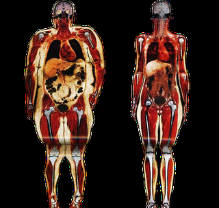 ¿ la curva de la felicidad?