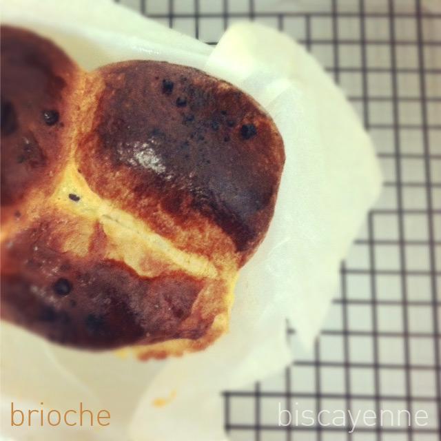 Brioche: Yarcensia ottolenguiae