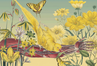 Los jardines del Juan Gatti