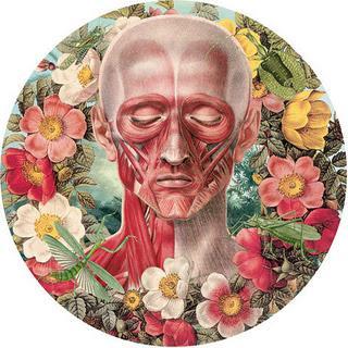 Los jardines del Juan Gatti