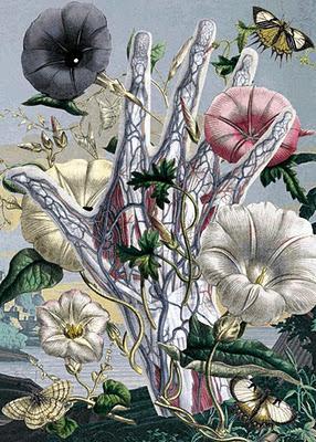 Los jardines del Juan Gatti