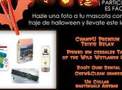 Bases concurso halloween