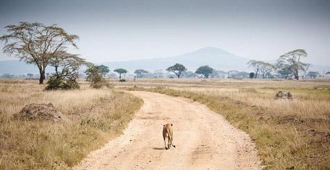 La carretera