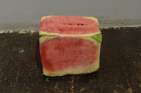 Untitled (12ª Bienal de Estambul) Untitled (12ª Bienal de Estambul)