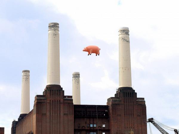 Pink Floyd recrea la portada de uno de sus discos en la vida real con un cerdo volando