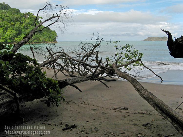 Playa tropical con obstáculos