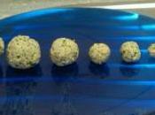 Dieta Casera para Perros Cáncer